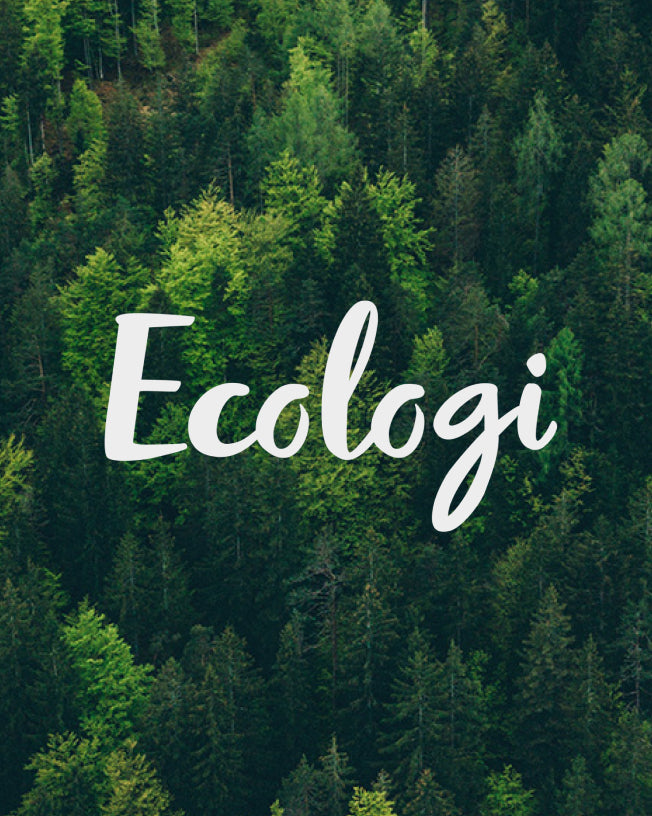 Birds eye image of a forest with the Ecologi logo.